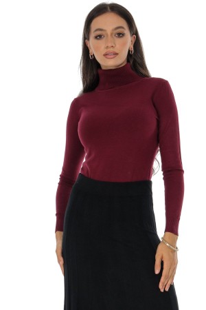 Classic Burgundy Turtleneck with Long Sleeves BR2885