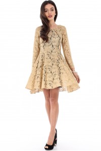 Gold Pleated Front Lace Skater Dress, Aimelia-DR3221