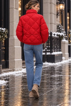Red High Neck Cropped Puffer Jacket - AIMELIA JR700
