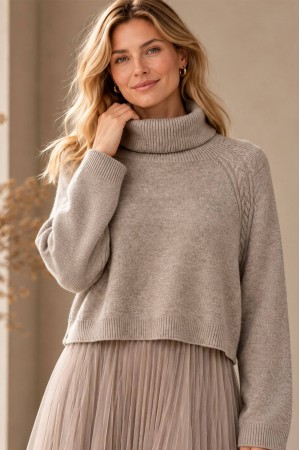 Beige Cropped Polo Neck Jumper and Tulle Midi Dress Set - AIMELIA DR4875